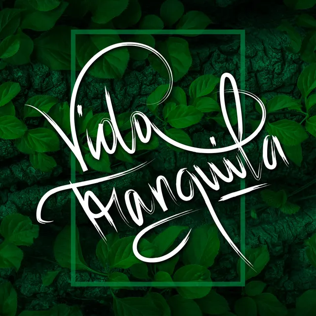 Vida Tranquila