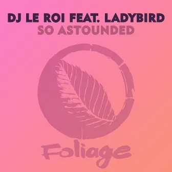 So Astounded (Remixes) by DJ Le Roi