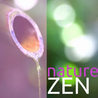 Nature Zen – Musique de la Nature pour Se Détendre, Massage, Méditation et Relaxation by New Age Piano Masters