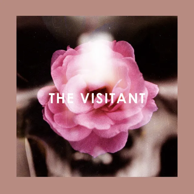 The Visitant