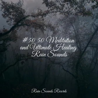 #50 50 Meditation and Ultimate Healing Rain Sounds by Sons da natureza HD