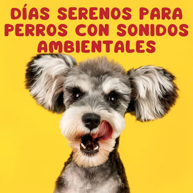 Días Serenos Para Perros Con Sonidos Ambientales