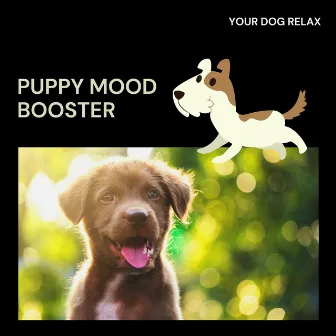 Puppy Mood Booster by Unknown Artist