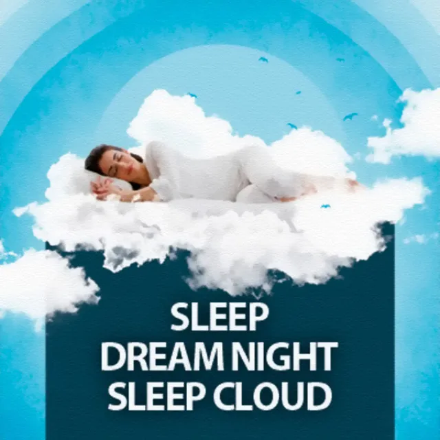 Sleep Dream Night Sleep Cloud