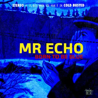 Born To Be Blue by Mr Echo