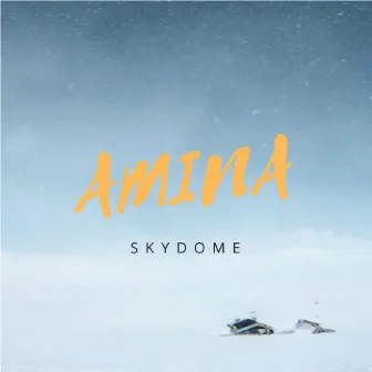 Skydome by Amina