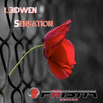 Sensation by L3idwen