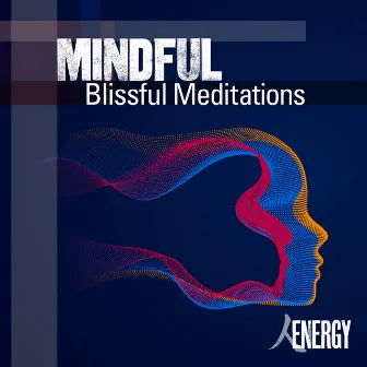 MINDFUL - Blissful Meditations by Barry Whittaker-Gilbey