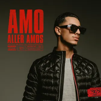 Amo aller Amos by Amo