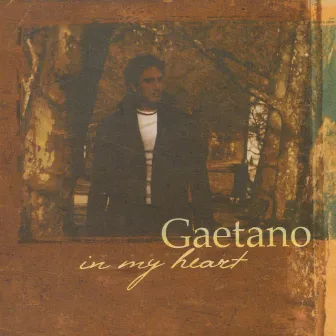 In My Heart by Gaetano