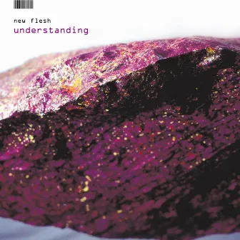 Understanding by New Flesh