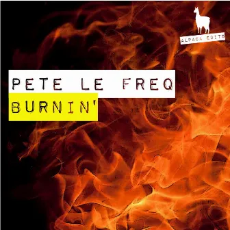 Burnin' by Pete Le Freq