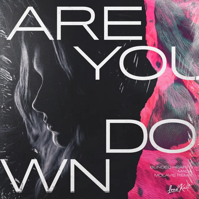 Are You Down - Molavie Remix