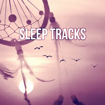 Sleep Tracks – Natural Sleep, Calm Down, Calming Music, Nature Sounds, Sleep Music with Rain Sounds, White Noise for Sleep Problems, Relaxing Music by Restful Sleep Music Consort