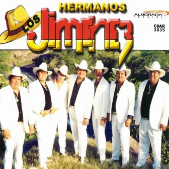 Traficantes Michoacanos by Los hermanos Jimenez