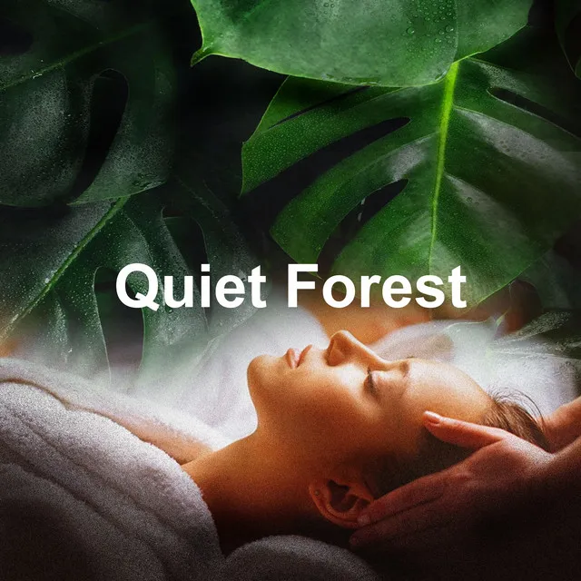 Quiet Forest