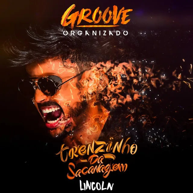 Trenzinho da Sacanagem - Groove Organizado