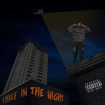 Thief in the Night by Malzo