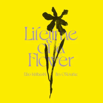 Lifetime of a Flower by Jim O'Rourke