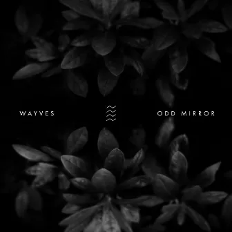 Odd Mirror by WAYVES