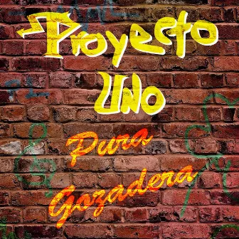 Pura Gozadera by Proyecto Uno