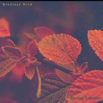 Resting Together by Windless Mind