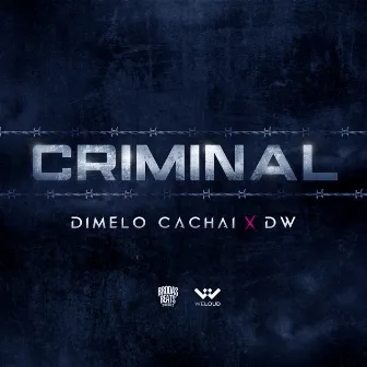 Criminal by Unknown Artist