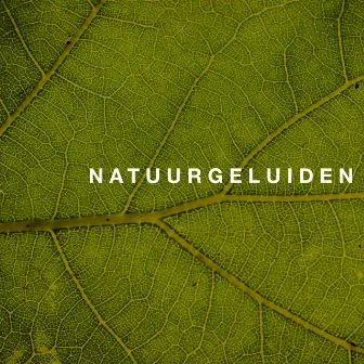 Natuurgeluiden by Ontspanning Meditations