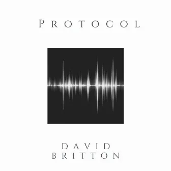 Protocol by David Britton