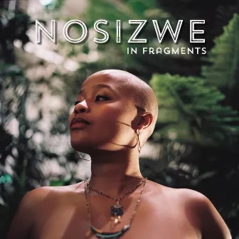 In Fragments by Nosizwe