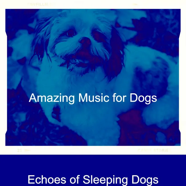 Echoes of Sleeping Dogs