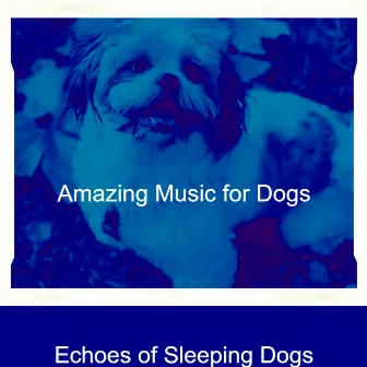 Echoes of Sleeping Dogs by Amazing Music for Dogs