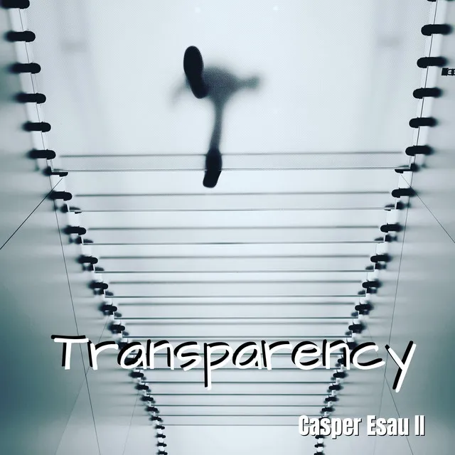 Transparency