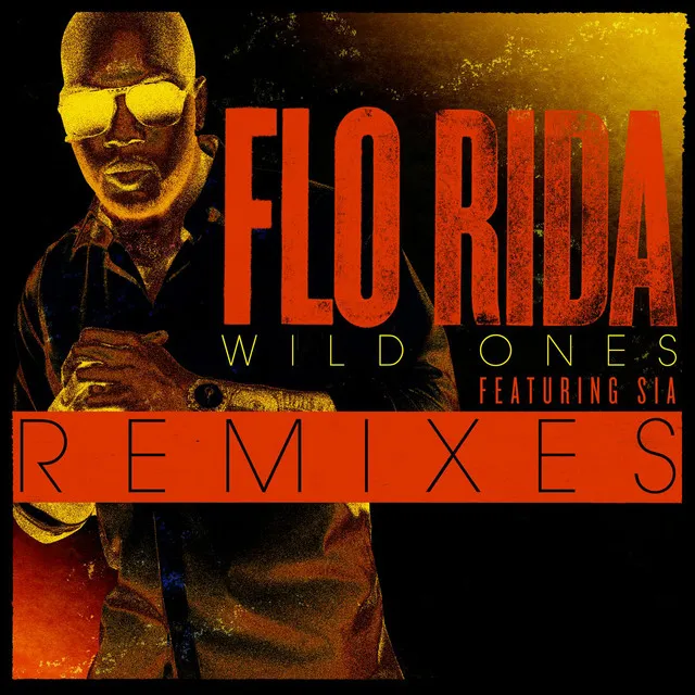 Wild Ones (feat. Sia) - Guy Scheiman Vocal Remix