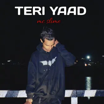 TERI YAAD by Mc Slime