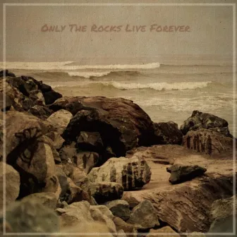 Only the Rocks Live Forever by Brian Mandella