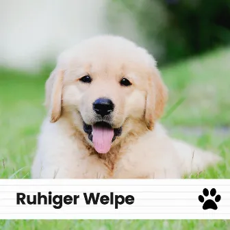 Ruhiger Welpe by Beruhigende Musik für Hunde