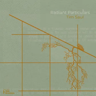 Radiant Particulars (Radio Mix) by Tim Saul