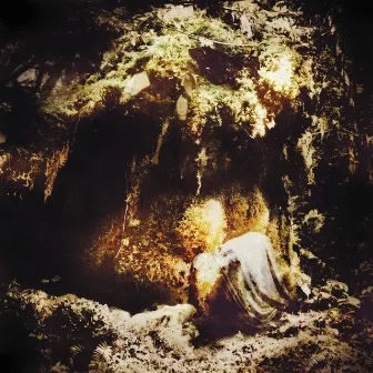 Celestial Lineage by Wolves In The Throne Room