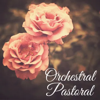 Orchestral Pastoral by James Mc William