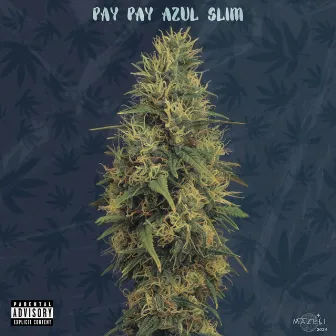 Pay Pay Azul Slim by MaZéli