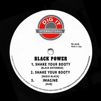 Shake Your Booty by Black Power