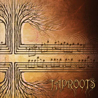 Taproots by 