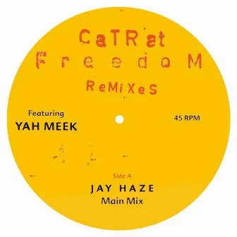 Freedom Remixes by Catrat