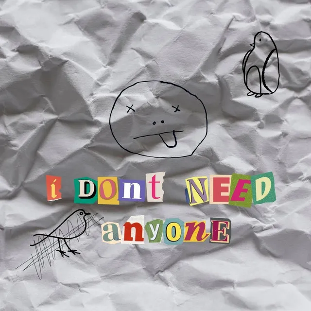 I Don't Need Anyone