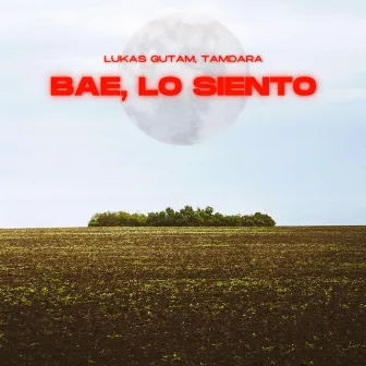 Bae, lo siento by Lukas Gutam