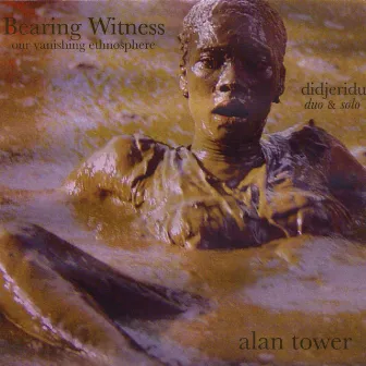 Bearing Witness by Alan Tower