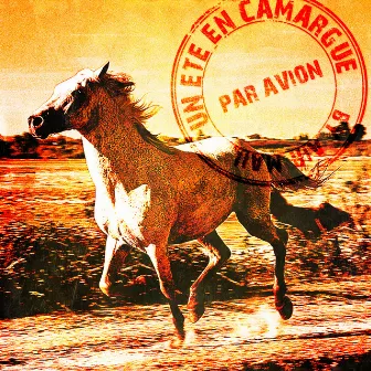 Un été en Camargue by La playlist des vacances