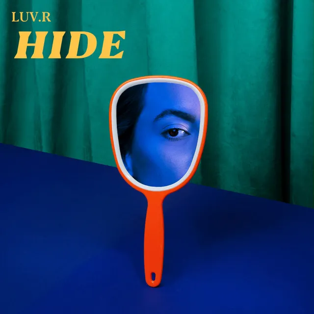 Hide