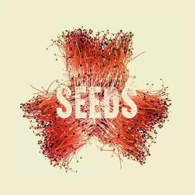 Seeds